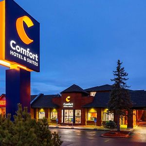 Comfort Hotel & Suites